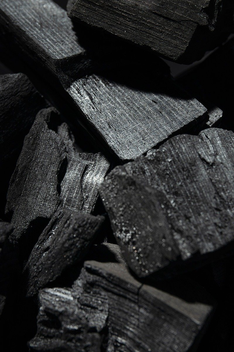 still life ashes with charcoal (2)